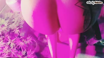 Charly Pelione's Forbidden Stepdaughter Anal Creampie