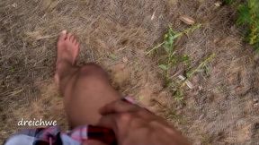 crushing plants in the field