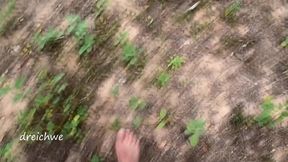 crushing plants in the field