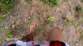 crushing plants in the field