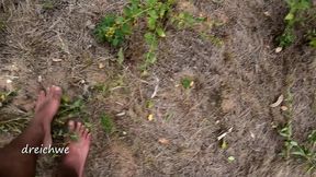 crushing plants in the field