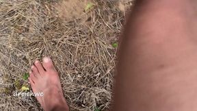 crushing plants in the field