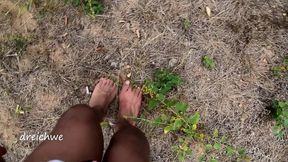 crushing plants in the field