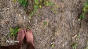 crushing plants in the field