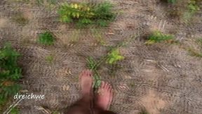 crushing plants in the field