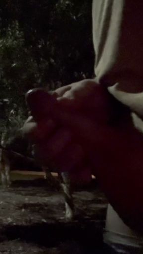 Straight guy goes flashing his dick in park in this risky dare.   Clip 2