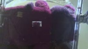 You have been Transformed now are at the Mercy of My Ass 1080 smaller