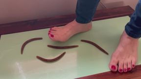 Beautiful Feet Squishing Slimeys