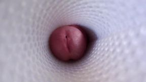 vista interna di un Fleshlight