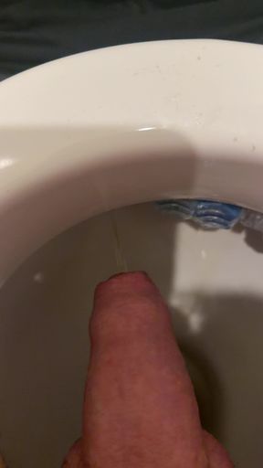 Toilet break