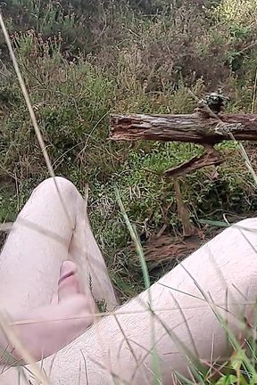 Outdoor Jerk off