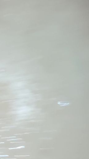 Cummy Bear Red Leather POV