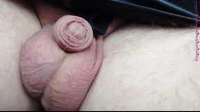 Small genital in the car