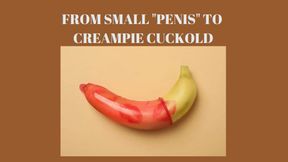 FROM SMALL "COCK" TO CREAMPIE CUCKOLD - Cuckold Mesmerize [SPH] [Small Penis Humiliation] [Creampie]