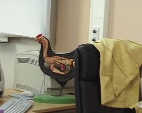 German MILF Amateur Big Natural Tits Brunette Fucked 2