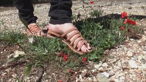 Grass and flowers trampling, rubbing with flat sandals compilation