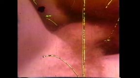 Arcadia Lake and Eric Edwards Each Other