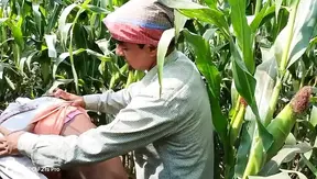 Steaming Encounter in the Fields: Worker Boss Fuel Desire – Hindi Audio