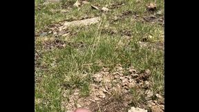 Dirty flies get inside foreskin of uncircumcised guy