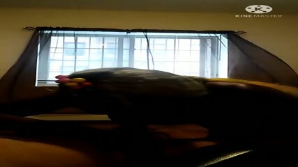 Bad lighting but tranny was exciting