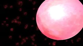 Radiant #13 massages submissive male before getting banged