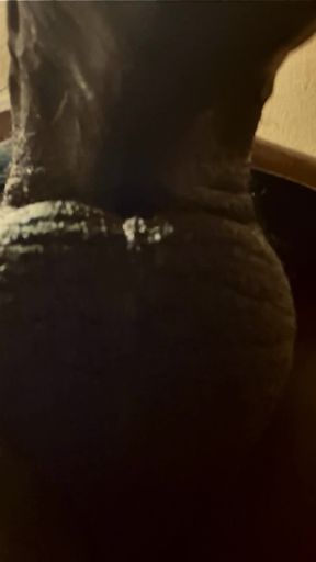 Cms Long Hard Dick