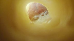 Fleshlight cum camera (POV, you're being bred)