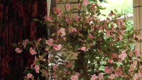 Tomoe Okazaki's First Shoot with Digest: A Fifty Wife Documentary Adventure