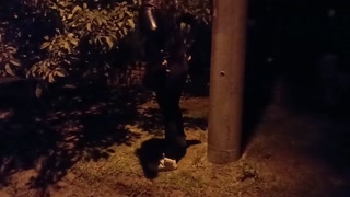 Suegro y nuera infiel después de la fiesta del barrio
