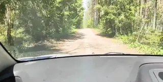 Married cutie gets helped and agrees to cheat in the forest