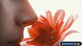 Hot Anni  Romantic Sex    3d Hentai Cartoon