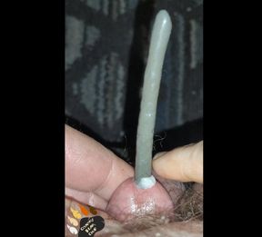 A Working Bear&#039;s Tiny Cock Sounded  With Cum