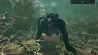 Wild Life / Black Panther Hunts Down Her Prey