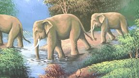 White woman gets drilled by black stud