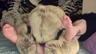 Getting Fucked By My Teddy Bear (OF Preview)