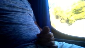 paja en el bus 1
