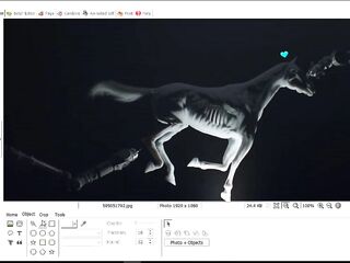 How To Easily Censor Photos Using PhotoScape