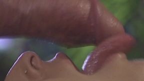 Naughty Niches - Secret Fantasy Room