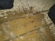 Je marque la cabine de baseball avec ma pisse