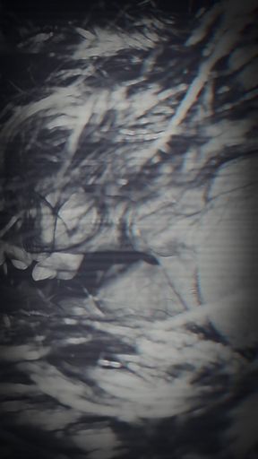 Big ass Latina getting the BWD