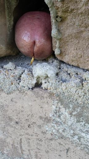 Cock thorugh wall fuck