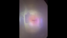 Bubble gum Closeups