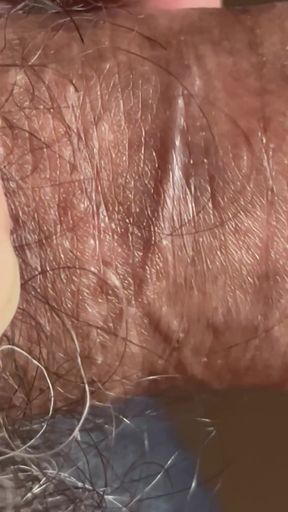 Closeup of Penis with One Vein