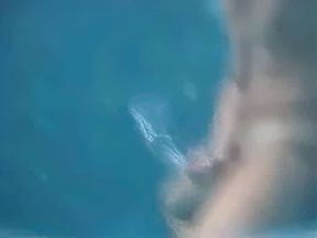 Big-Cock Man Masturbates Outdoors: Underwater Cum Explosion!