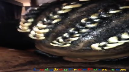 Tranny Sucking dick 9