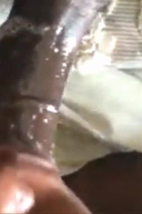 Slurping His Dick Made Him Nut! on a Nice Sunny Day