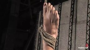 Vendetta Returns to Hogtied You Can Only See Her Exclusively at Kink