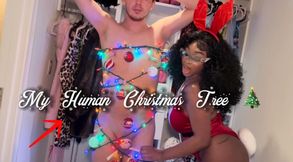My Human Christmas Tree
