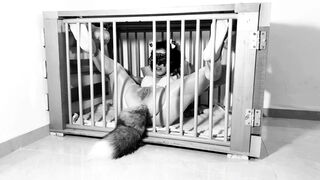 A day into the life of a Kitten: Ep.one - Squirting on her tail Bdsmlovers91