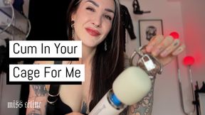 Cum In Your Cage For Me | Chastity Orgasm Control and CEI